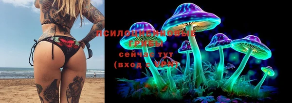 трава Заволжск
