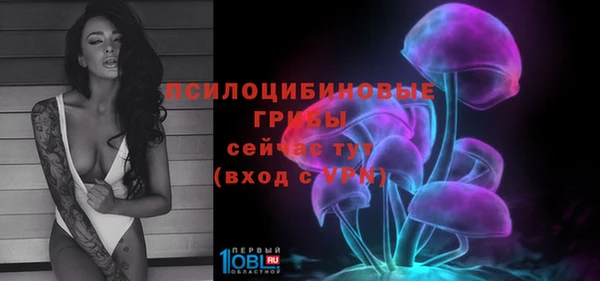гидра Яровое