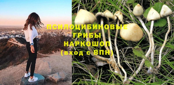 прущие крисы Заволжье