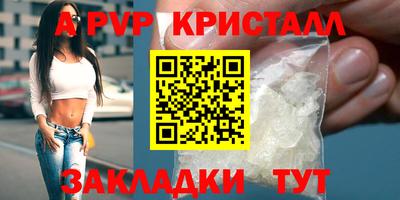 jwh Кингисепп