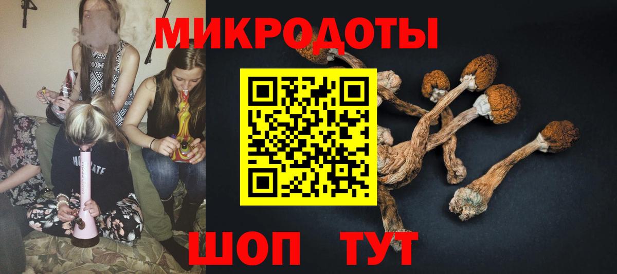 Псилоцибиновые грибы GOLDEN TEACHER Спасск-Дальний